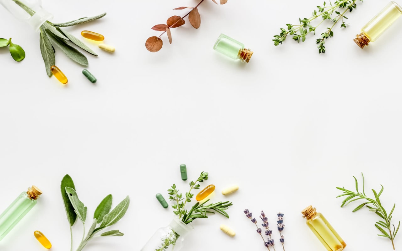 Plantes dépuratives : de quoi s'agit-il ?