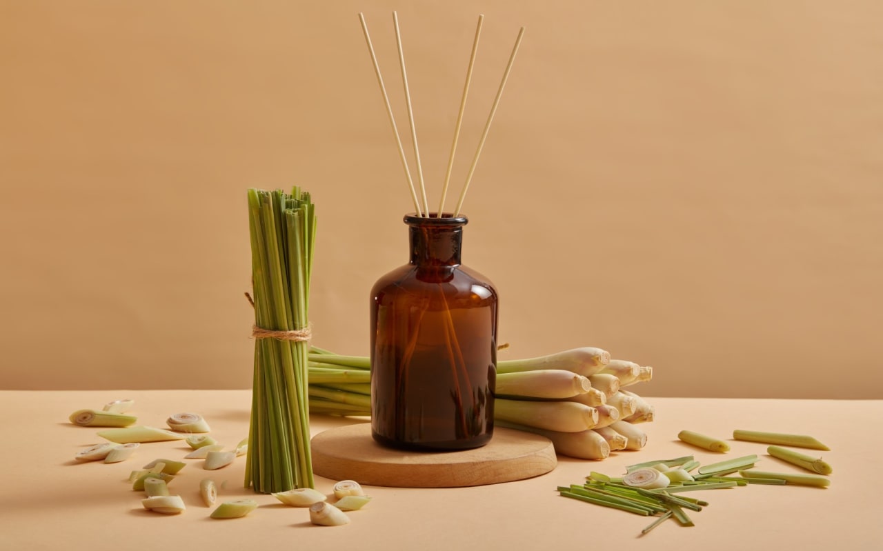 Citronella contro le zanzare: quali effetti ha e come utilizzarla?