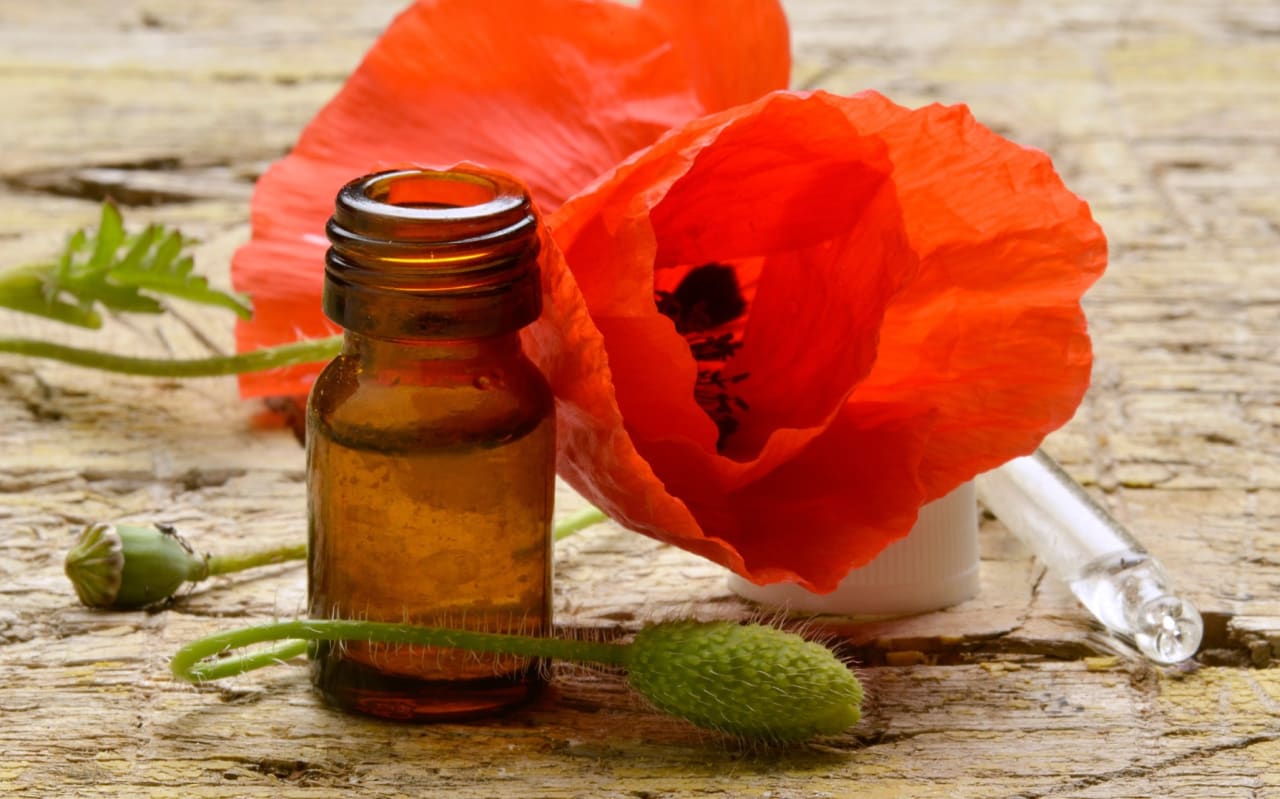 Coquelicot : Définitions, propriétés et bienfaits ?