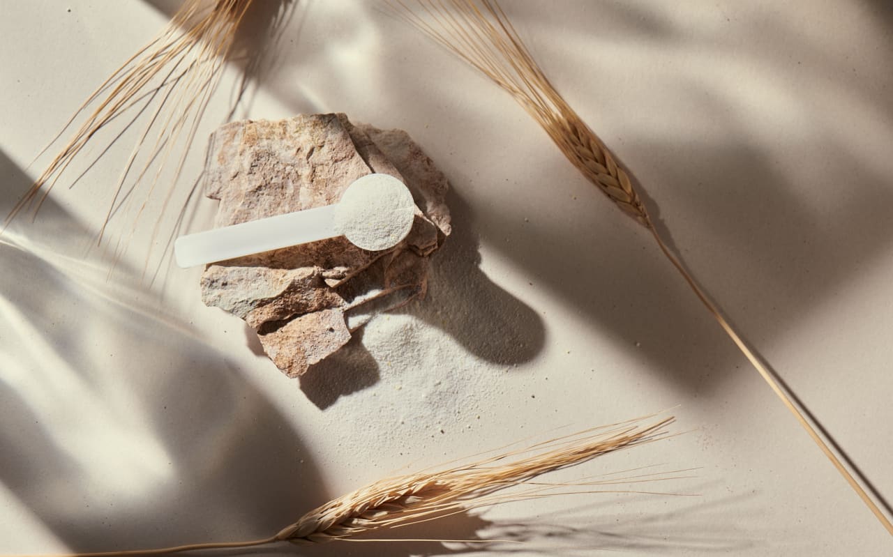 Carnitine : qu'est ce que c'est ?