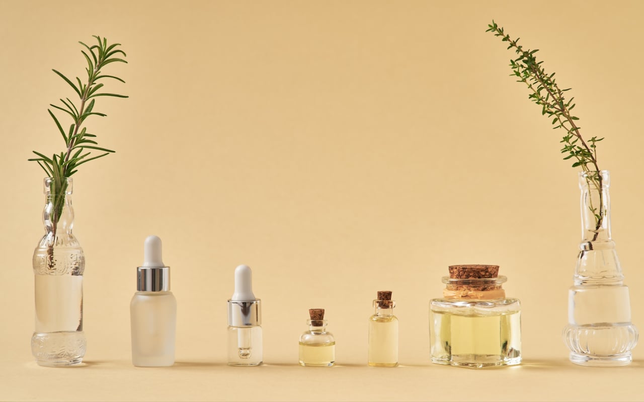 Thym serpolet (Thymus serpyllum) : Propriétés, bienfaits et utilisations