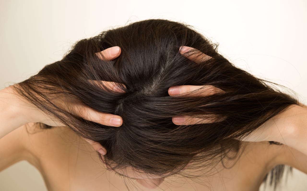 Tout savoir sur le cuir chevelu 