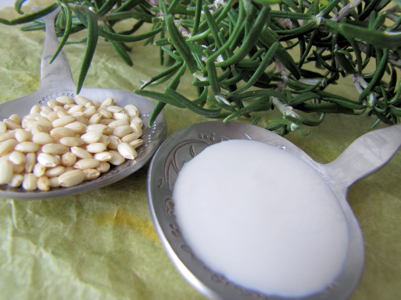 Crème fluide visage "Zéro brillance" Romarin & Riz