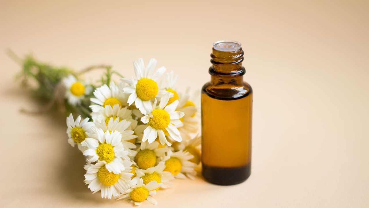 Camomilla per schiarire i capelli: come usarla e quali risultati aspettarsi