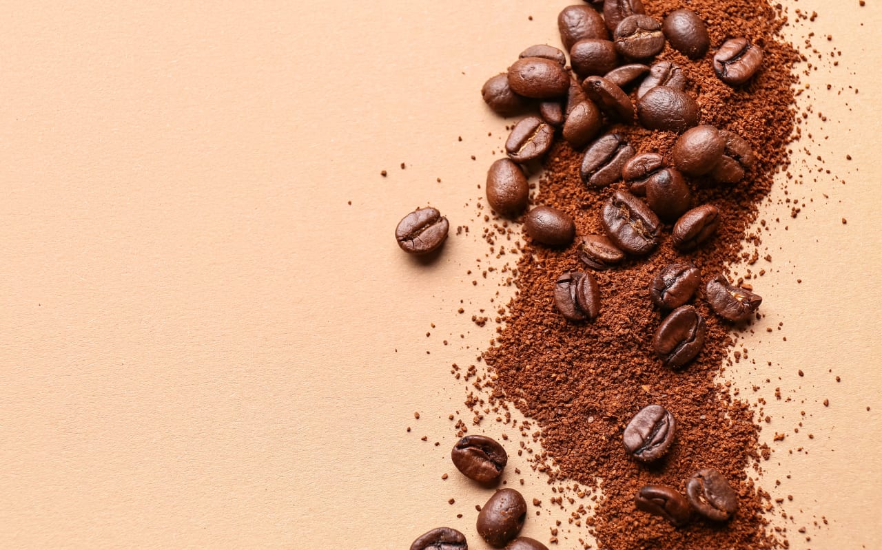 Thé ou café : lequel est fait pour vous ?