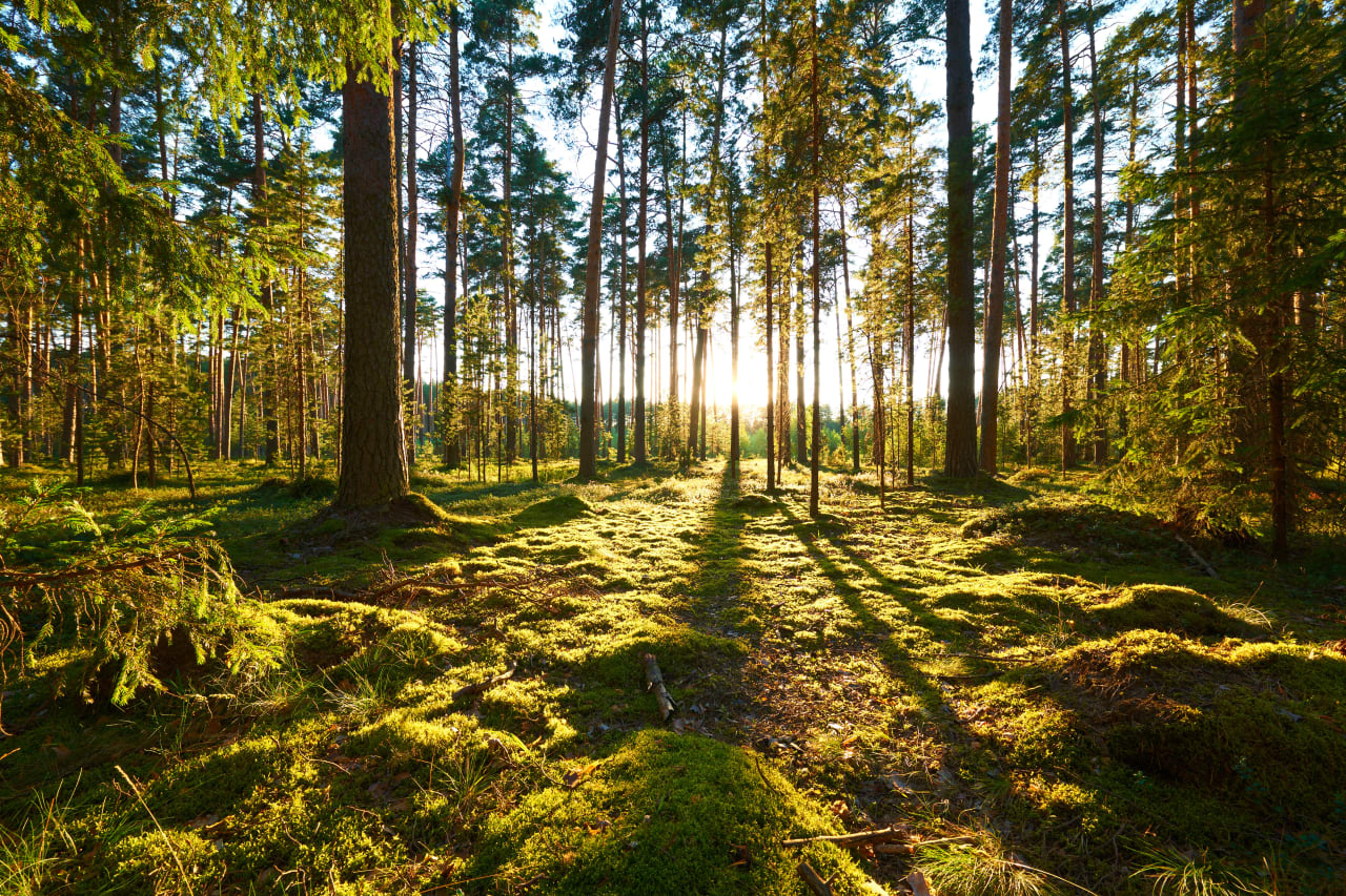 AdobeStock 1103687577