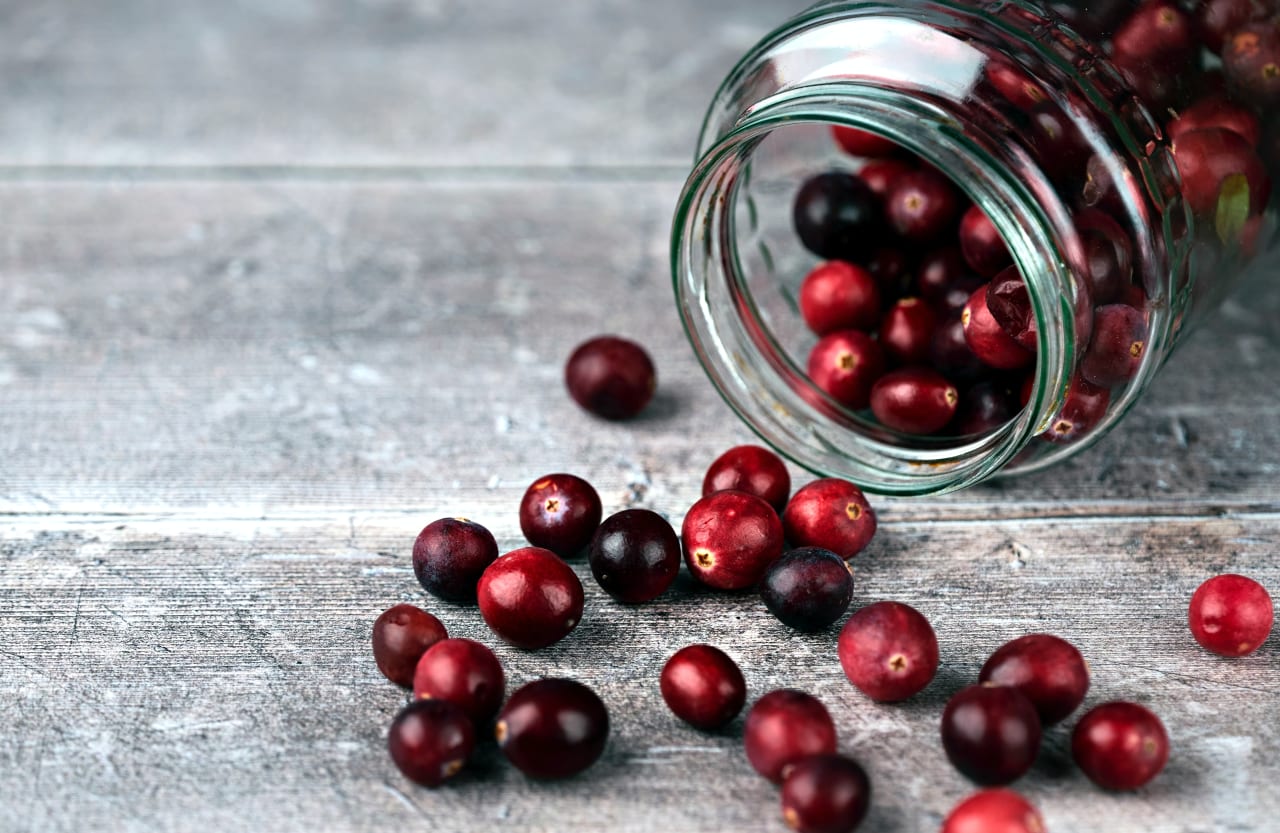 Canneberge (Cranberry) : tout savoir sur ses bienfaits et son utilisation