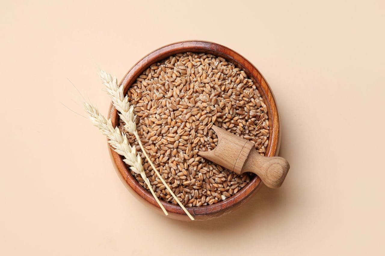 Orge : tout savoir sur ses bienfaits nutritionnels et cosmétiques
