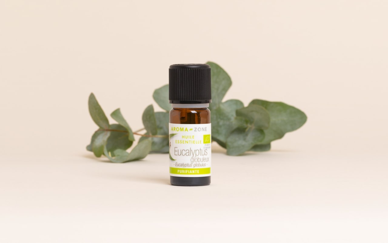 Huile essentielle Eucalyptus globulus BIO