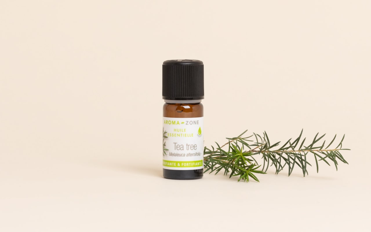 Olio essenziale Tea tree (Albero del tè)