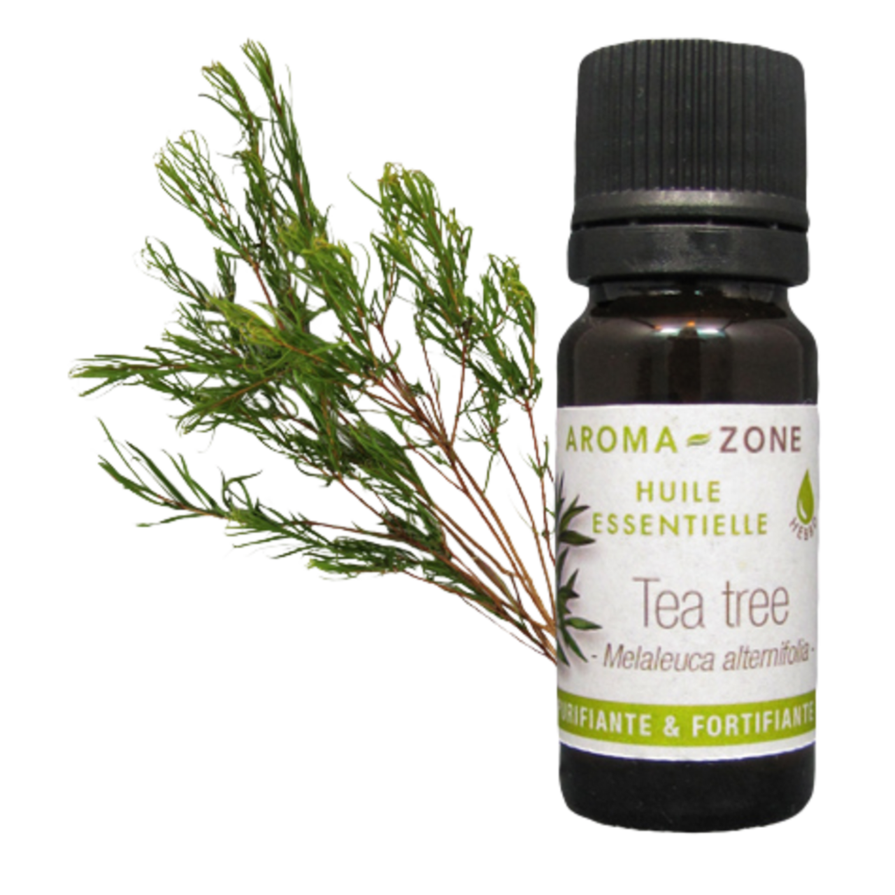 Huile essentielle Tea tree (Arbre à Thé)