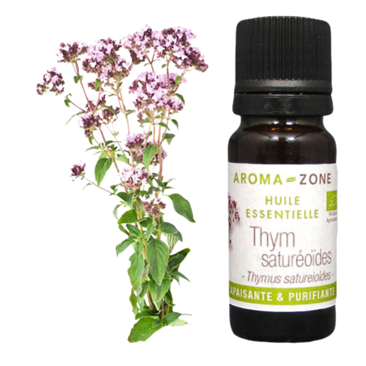 Organic Moroccan Thyme Essential Oil