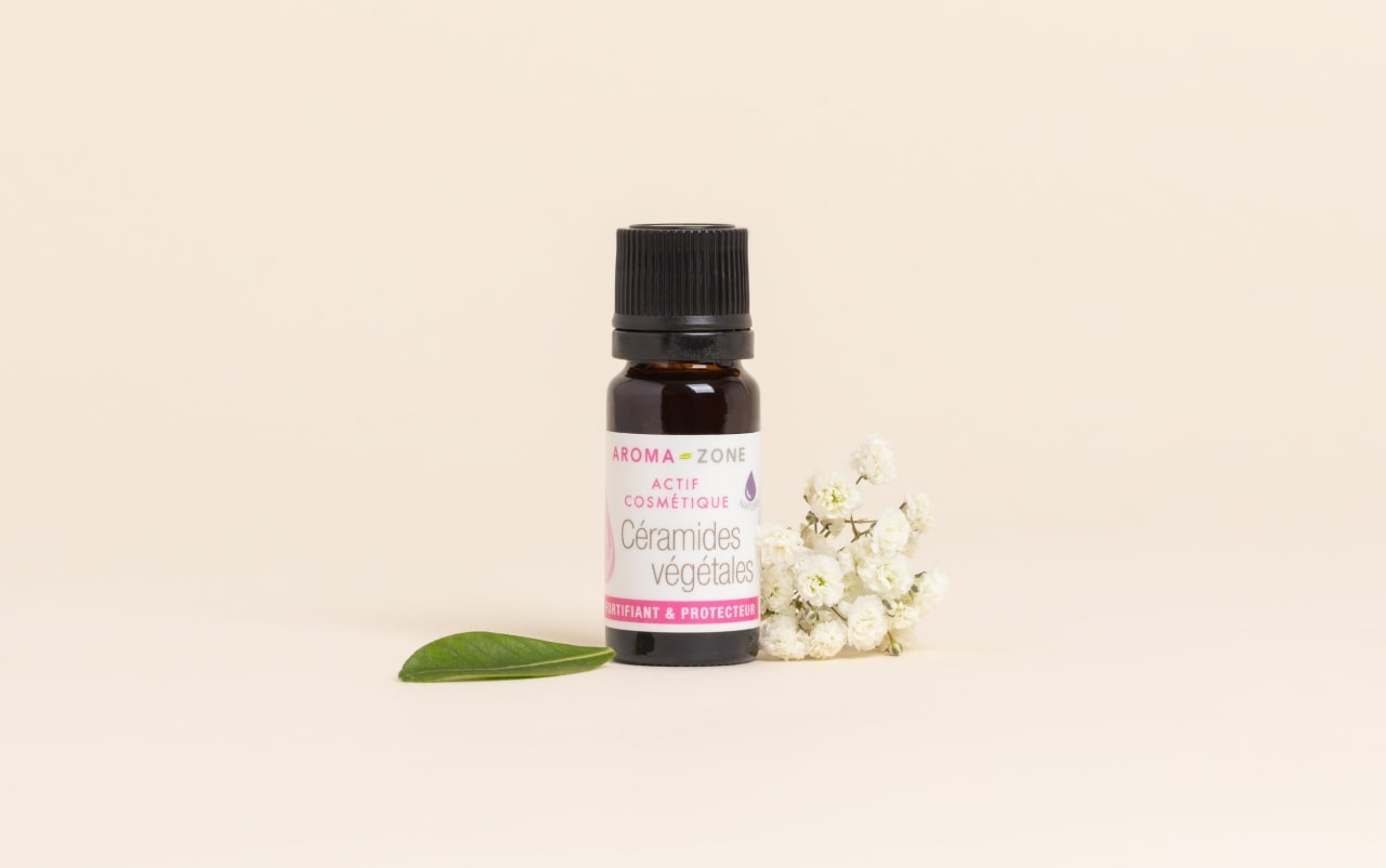Actif Céramides végétales