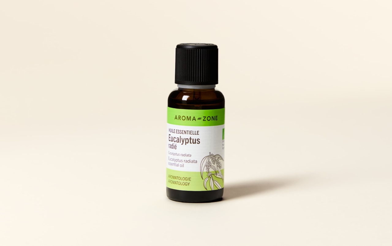 Olio essenziale di Eucalipto radiata BIO