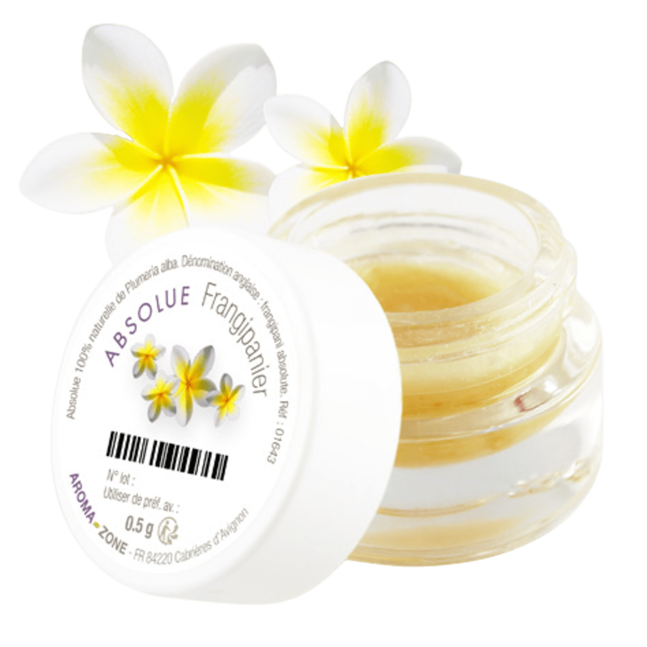 Assoluta di fiori di Frangipani