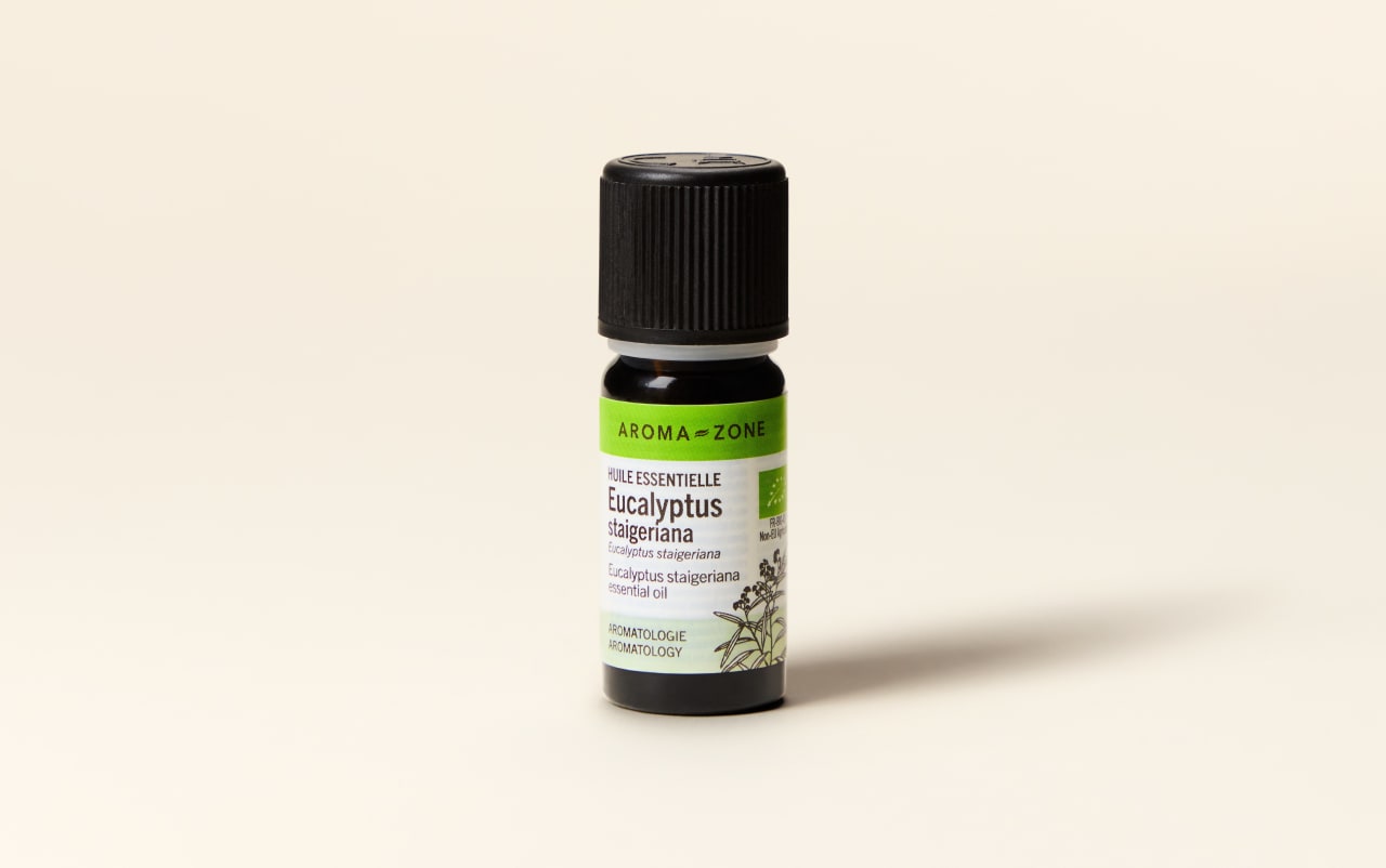 Olio essenziale Eucalipto staigeriana BIO