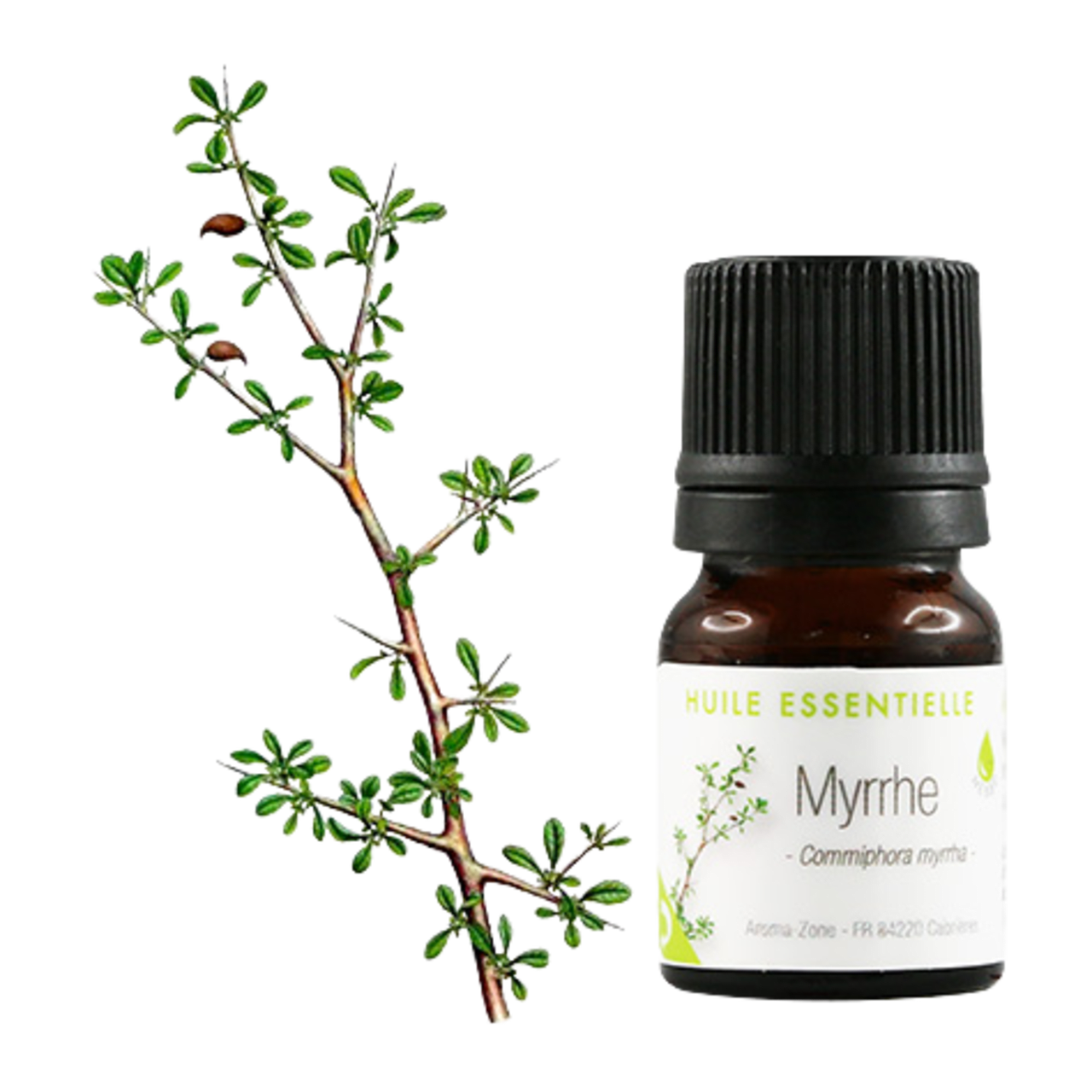Bulletin Huile essentielle de Myrrhe - Aroma-Zone