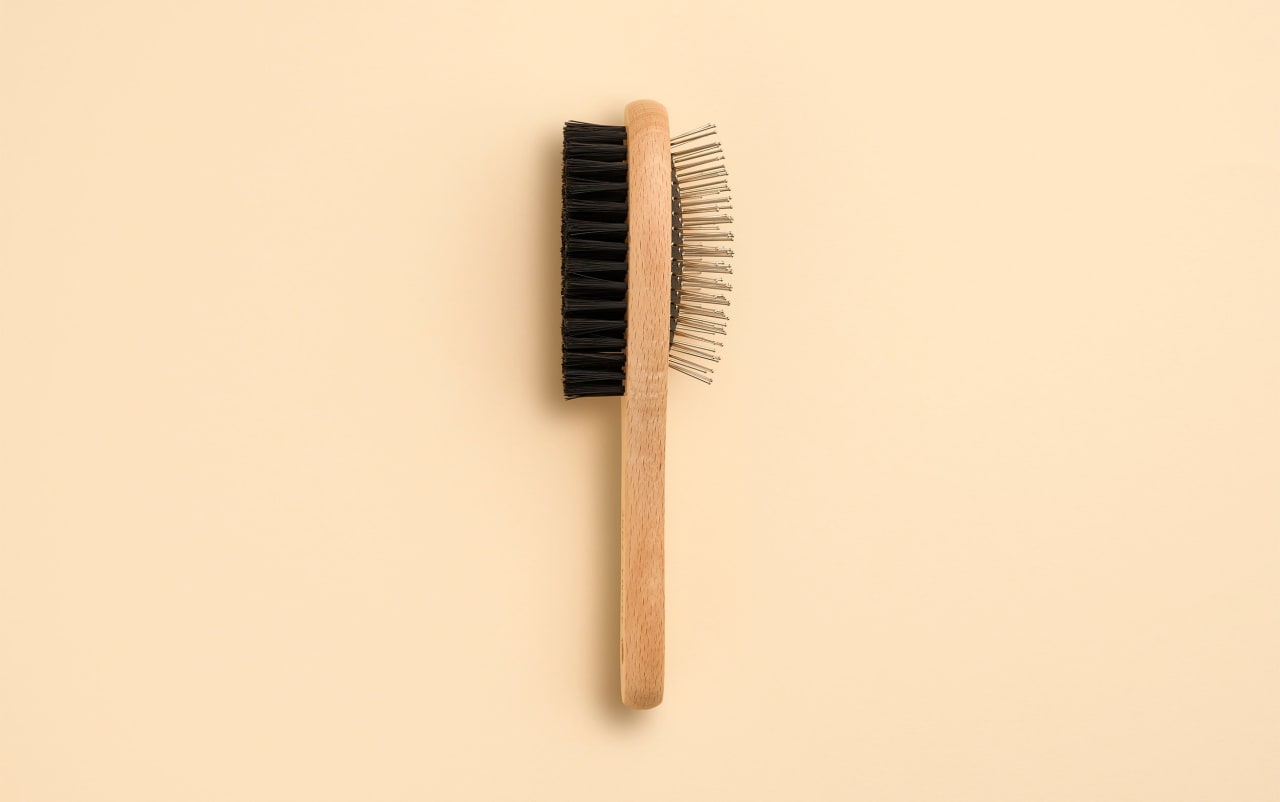 Brosse pour chien et chat