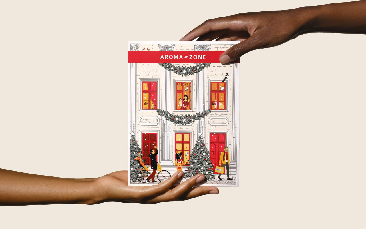 Pochette cadeau Édition limitée de Noël - Moyen format
