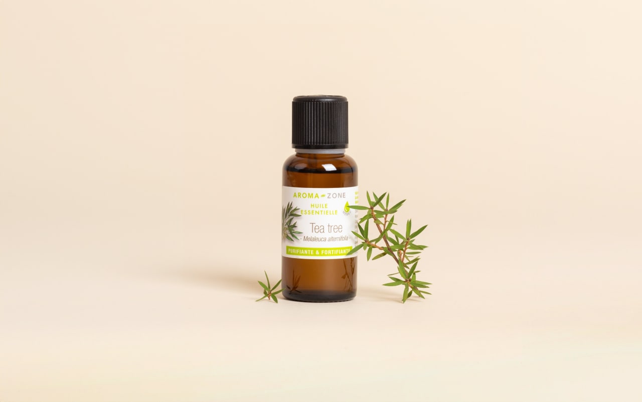Huile essentielle Tea tree (Arbre à Thé)
