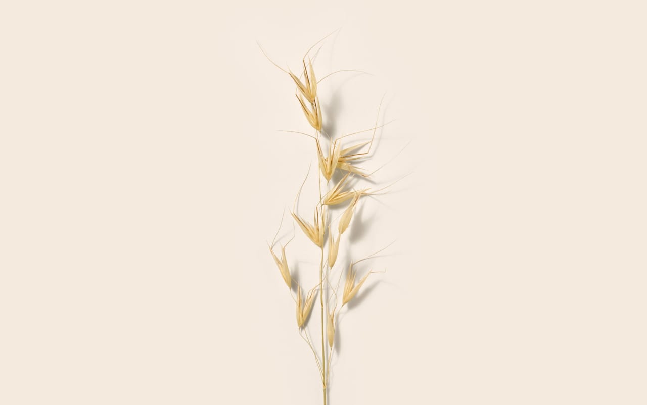 Baume démaquillant soin Avoine & Phytostérols