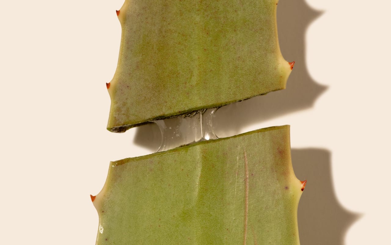 Gel natif d'Aloe Vera BIO