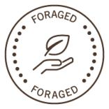 stamp FORAGED