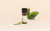 Huile essentielle de niaouli Aroma-Zone avec feuille sur fond beige