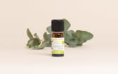 Huile essentielle Eucalyptus globulus BIO