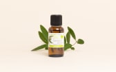 Huile essentielle Eucalyptus globulus