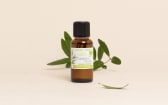Huile essentielle Eucalyptus citronné BIO