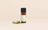Organic Mountain Savory Essential Oil