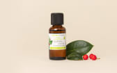 Wintergreen Essential Oil