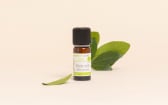 Olio essenziale di Mirto verde BIO