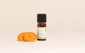 Huile essentielle Carotte