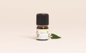 Huile essentielle Néroli BIO