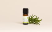 Organic Corsican Rosemary Verbenone Essential Oil