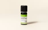 Bay Rum Tree Essential Oil