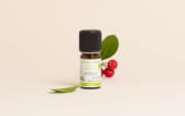 Olio essenziale di Lentisco BIO