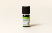 Huile essentielle de Criste marine (Christe marine) BIO
