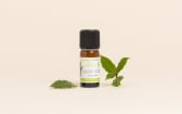 Huile essentielle Laurier noble
