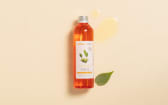Huile de Jojoba BIO