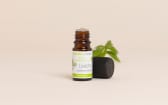 Lovage Essential Oil