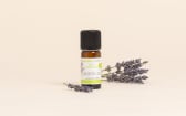 Organic Spike Lavender Essential Oil