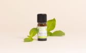 Huile essentielle Basilic tropical BIO