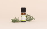 Organic Provençal Cypress Essential Oil