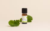 Organic Egyptian Geranium Essential Oil
