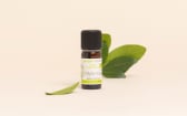 Huile essentielle Myrte rouge BIO
