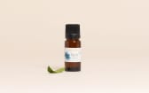 Huile de Nigelle BIO (Cumin noir)