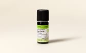 Olio essenziale di Gaulteria odorosa (Wintergreen) BIO